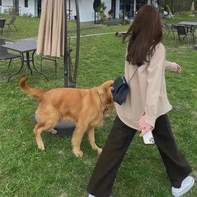 旗袍先生